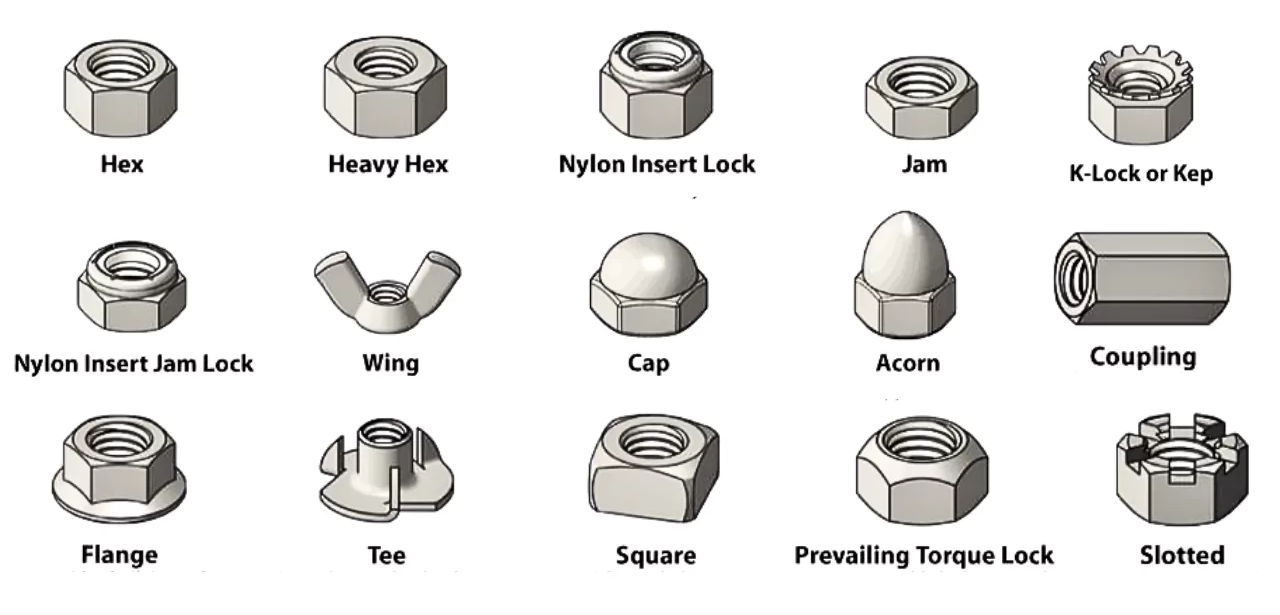 Common Types of Nuts Common Types of Nuts
